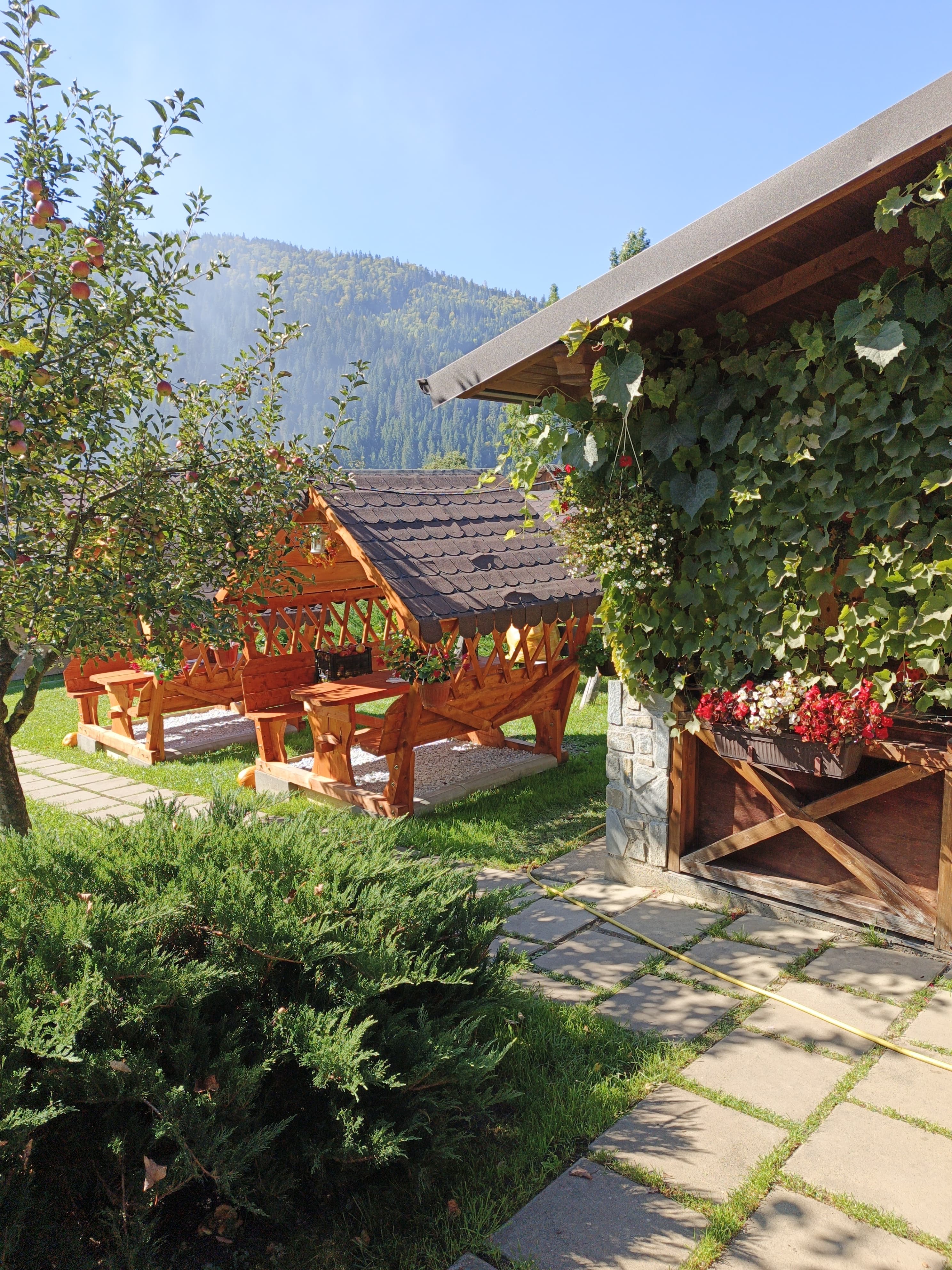 Limonada cu trandafiri